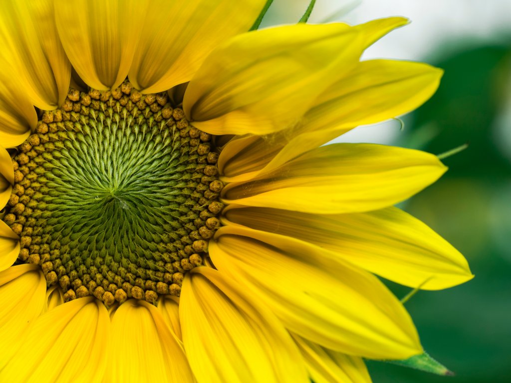 image-850460-aaron-burden-GVnUVP8cs1o-unsplash_(1)-16790.w640.jpg